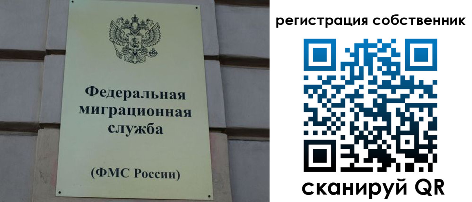 прописка гарантия в Элисте
